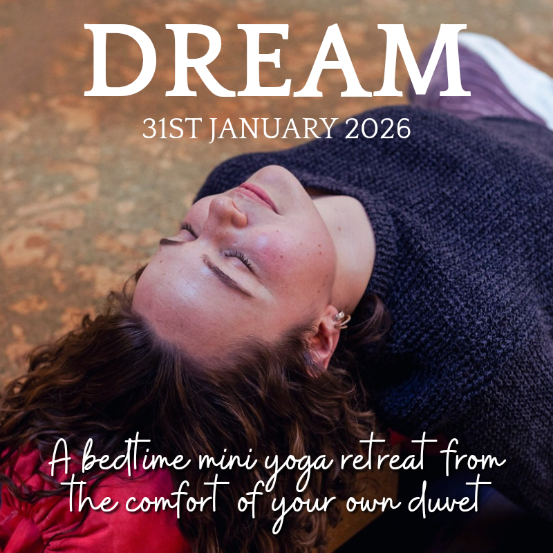 copy of spark (800 x 800 px) 20260114 214233 0000