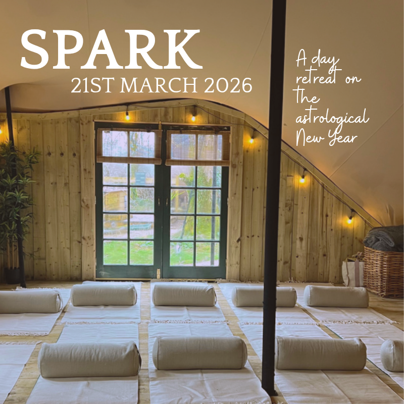 spark (800 x 800 px) 20260110 174046 0000